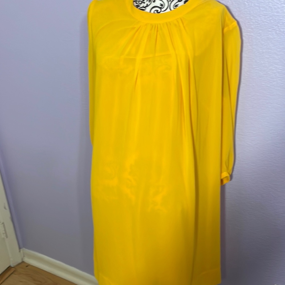 Eva Mendes for NY and Company sheer sleeve dress